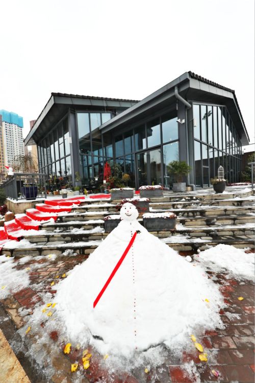 一場(chǎng)雪，體育中心美得不要不要的 但最美的風(fēng)景還是他們(圖11)