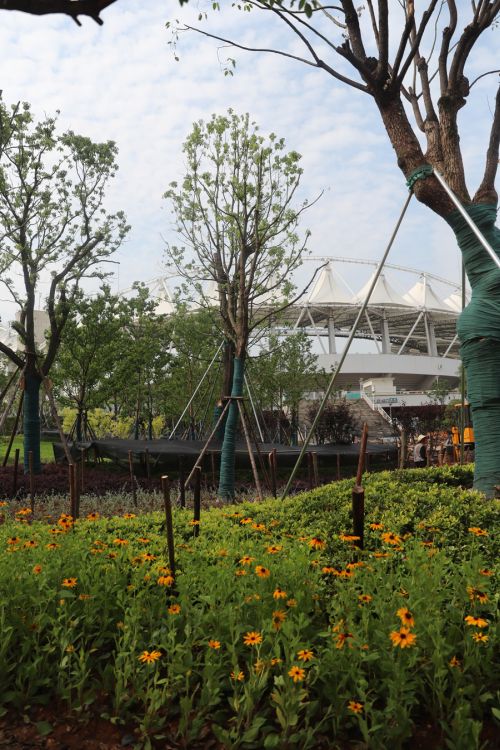 彭緒寧來武漢體育中心調(diào)研軍運(yùn)會(huì)建設(shè)(圖4) 彭緒寧來武漢體育中心調(diào)研軍運(yùn)會(huì)建設(shè)(圖4)