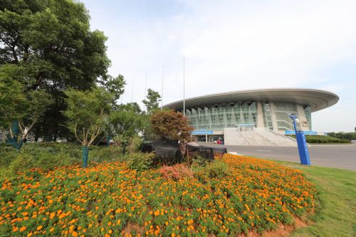 軍運會倒計時100天 我們準(zhǔn)備好了(圖3)