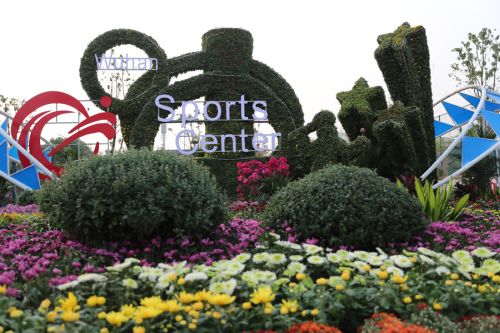 軍運(yùn)會(huì)倒計(jì)時(shí)一周年，你準(zhǔn)備好了嗎？武漢體育中心信心滿滿全力籌備進(jìn)入沖刺期(圖8)