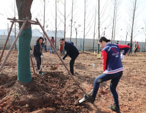 公司領(lǐng)導(dǎo)參加全區(qū)義務(wù)植樹活動(圖1) 公司領(lǐng)導(dǎo)參加全區(qū)義務(wù)植樹活動(圖1)