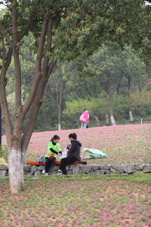 “與軍運(yùn)同行”徒步活動(dòng)上演“快閃” 武漢體育中心作為企業(yè)代表隊(duì)第一方陣登場(圖6) “與軍運(yùn)同行”徒步活動(dòng)上演“快閃” 武漢體育中心作為企業(yè)代表隊(duì)第一方陣登場(圖6)