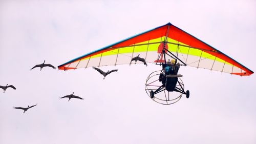 2019國(guó)際航聯(lián)世界飛行者大會(huì)在我區(qū)開幕 頂尖飛行員翱翔“天空之城”(圖14) 2019國(guó)際航聯(lián)世界飛行者大會(huì)在我區(qū)開幕 頂尖飛行員翱翔“天空之城”(圖14)