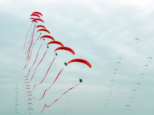 2019世飛會(huì)閉幕(圖10) 2019世飛會(huì)閉幕(圖10)