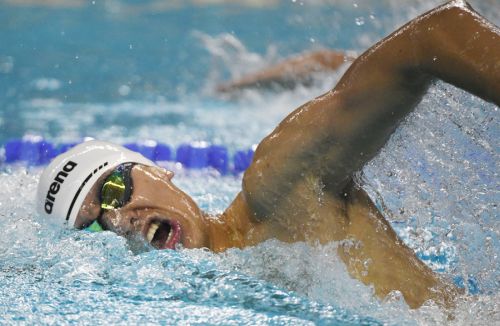 軍運會游泳次日:中國再奪6金破3項紀(jì)錄(圖3) 軍運會游泳次日:中國再奪6金破3項紀(jì)錄(圖3)