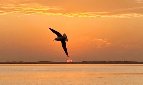 武漢體育中心組織開展秋季戶外拓展活動(dòng)(圖8) 武漢體育中心組織開展秋季戶外拓展活動(dòng)(圖8)